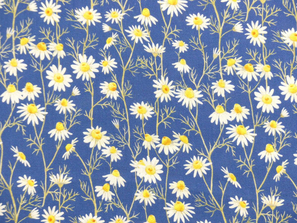 Hedgehog Hollow Blumen Gänseblümchen Daisies blau von In the Beginning